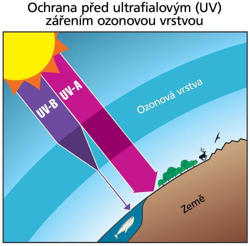 Význam atmosféry umožňuje život na Zemi 1. dýcháme vzduch obsahuje kyslík 2.