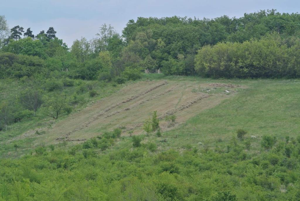 porostů svépomocí včetně likvidace posečené hmoty (5 ha)