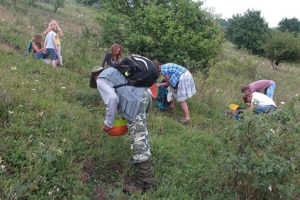 Od roku 1974 již existovala Arachnologická sekce při Slovenské entomologické společnosti, ale my jsme chtěli mít něco vlastního.