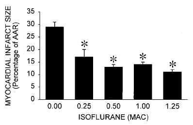 prekondice předcházela ischemii o 30 ochranný účinek prokazatelný už při koncentracích > 0,25 MAC