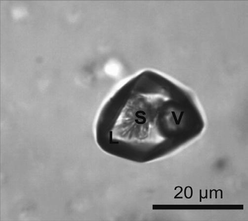 Přehled mineralogických metod použitelných pro studium provenience štípané křišťálové industrie Obr. 8. Třífázová inkluze z Krásného u Hraběšic.