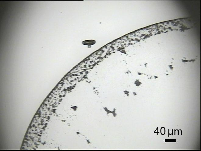 Obrázek 4.47: Fotografie hydroxylaminové kapky s 1 10-7 M TMPyP před a po umytí v deionizované vodě (objektiv 5, resp. 50 ). Vlevo před umytím, vpravo po umytí.