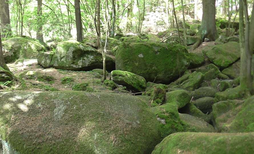 Naturschutzgebiet die