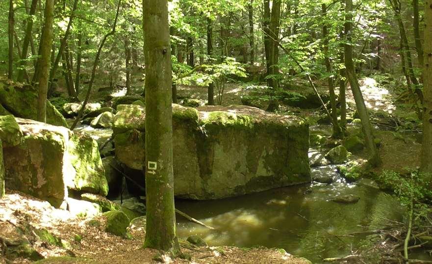 Das Blockmeer mit mächtigen Granitblöcken.