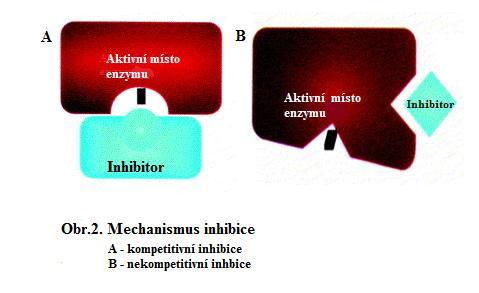 Mechanismus účinku antikoagulační aktivity se dále může členit na přímý a nepřímý. Přímé inhibitory svojí vazbou na vybrané koagulační faktory blokují jejich funkci.