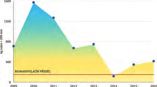 Obr. 4. Biomasa ryb ve vzorcích z tenatních sítí z VD Vrchlice v hodnoceném období Obr. 5. Množství adultního cejna velkého odloveného v průběhu biomanipulace na VD Hamry doprovodných druhů ryb.