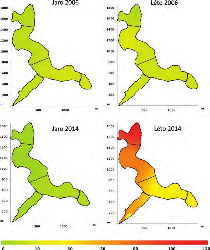 a v závislosti na hydrologických a klimatických poměrech konkrétní vegetační sezóny tvořily dominantu v podobě vodního květu.