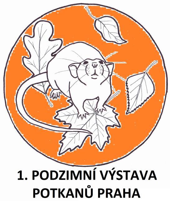 jiných