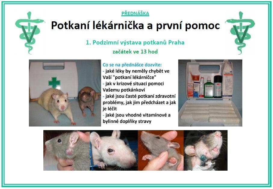 Přednášky
