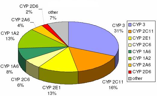 Úvod Jak jiţ bylo dříve uvedeno, vrozené změny DNA v kódující či regulační části genu mohou vést k absenci některé formy cytochromu P450, ke změně inducibility nebo k tvorbě formy cytochromu P450 s