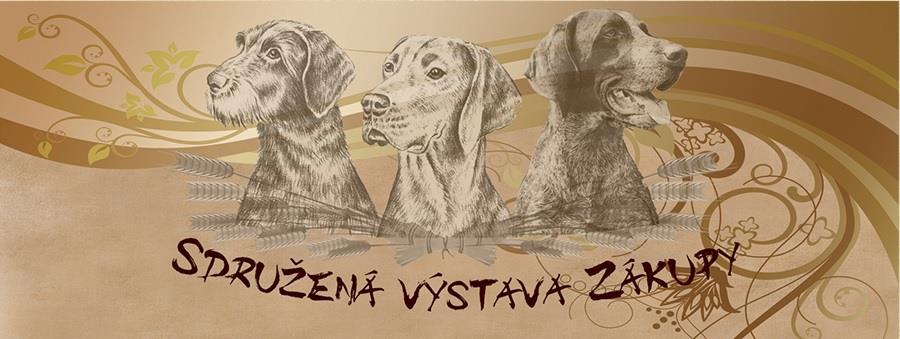 13.08.2017 Maďarský ohař drátosrstý 66 MOD Pes mezitřída Avar z Červených vršků Zajícová Ludmila Ing.Lucie Svobodová V 1 CAC, Vítěz výstavy, BOB 67 MOD Pes otevřená Lesan Gátova alej Naď Robert Ing.
