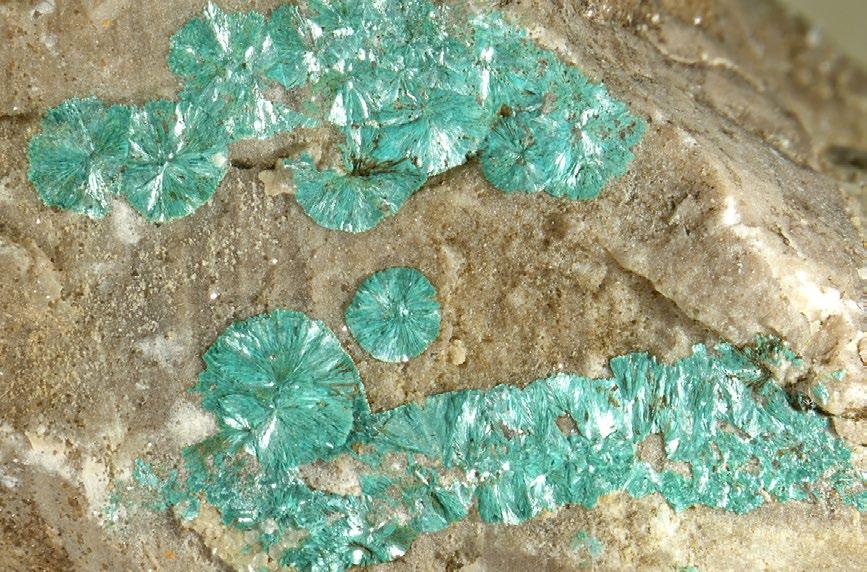 Bull Mineral Petrolog 25, 1, 2017. ISSN 2570-7337 (print); 2570-7345 (online) 87 Těžba sledovala sérii žil prorážejících vápence formace pohoří Picos de Europa karbonského stáří (stupeň westphal).