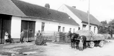 Na schůzi obecního výboru konané dne 17. července byl jednohlasně zvolen Čestným občanem obce Koškov Jeho Blahorodí velectěný pán, pan c. k. místodržitelský rada František Frey přednosta c. k. Okresního hejtmanství ve Velkém Meziříčí František Frey byl přeložen na c.