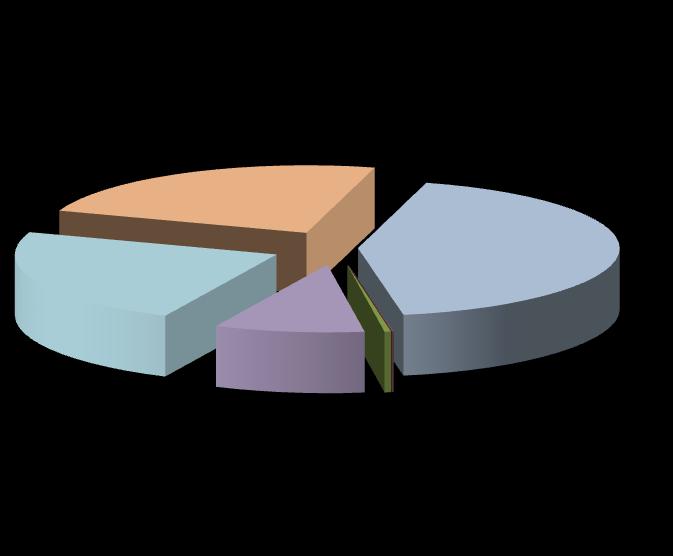 Přijaté transfery (dotace) na výkon státní správy 29 222 206 Kč 23% účelové dotace Regionální rada 29 853 870 Kč 24% účelové dotace státní 53 819 251 Kč 43% účelové dotace kraj 11 588 322 Kč 9%