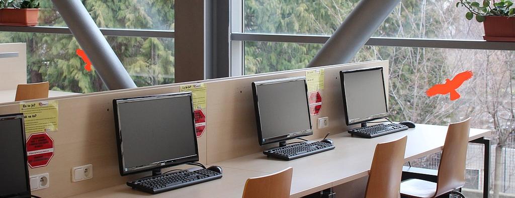 V roce 2017 pokračovalo jejich zpracování; vytváření signatur a následné zařazení do knihovního fondu ve volném výběru i ve skladu.