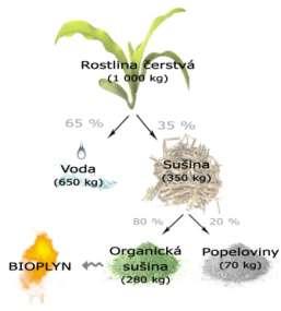 strana 17 Produkce bioplynu Předpoklad Přítomnost organické hmoty: 30 95 % rozložitelných látek Z 1 kg