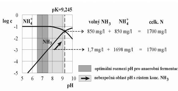 strana 39 Parametry ovlivňující průběh fermentace Obsah dusíku - přítomen zejména v proteinech, -
