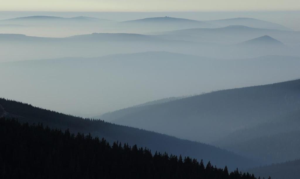 LES A LESNÍ PŮDY JIZERSKÝCH HOR v průběhu posledních 50 let Ústav pro