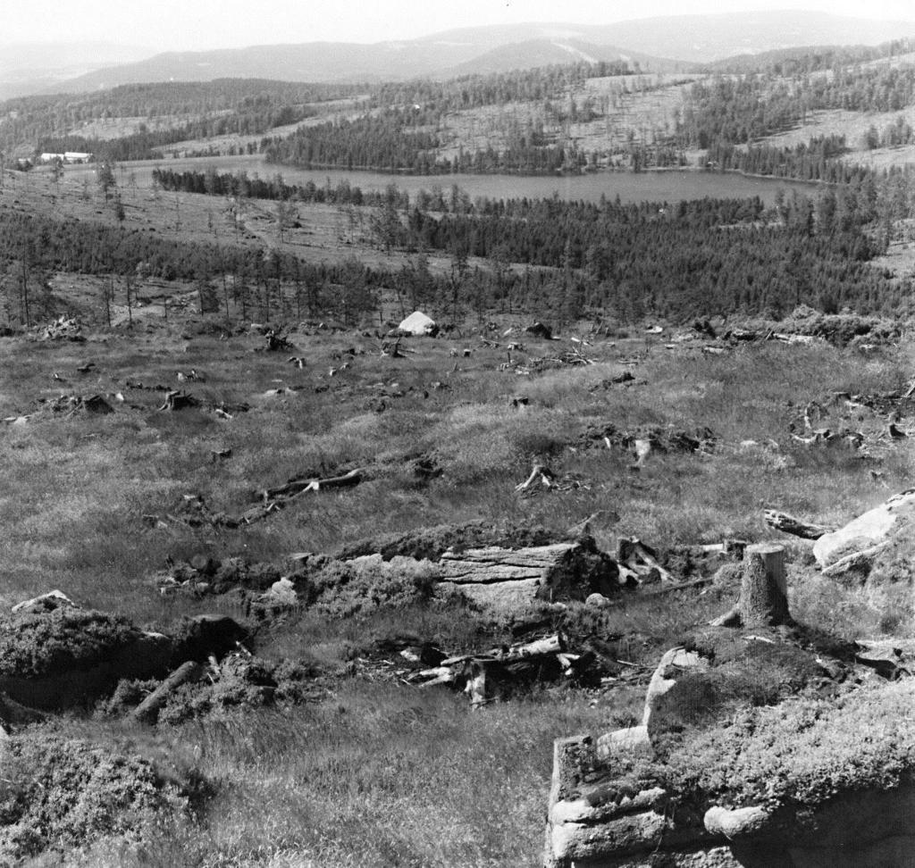 80. léta 20.