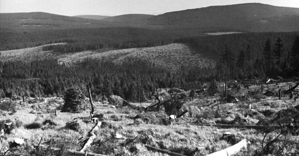 1968 Pohled ze Smrku k Jizeře - Vývratiska z