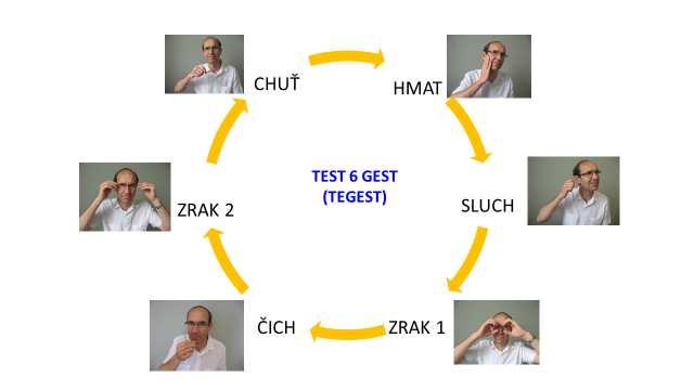 Nyní mi budete předvádět gesta. Instrukce TEGESTu Řeknu Vám 6 pokynů, které se budou týkat pohybu ruky nebo hlavy, jakási pantomima.