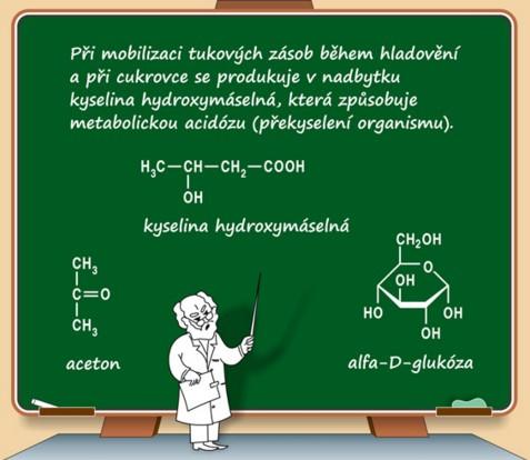 snížení průniku glukózy do buněk Nedostatečné inzulinové působení má za následek nedostatek glukózy uvnitř