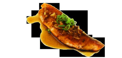 MUSSELS