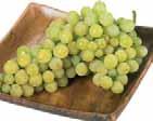 30308 Physalis 