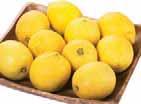 Grapefruit 