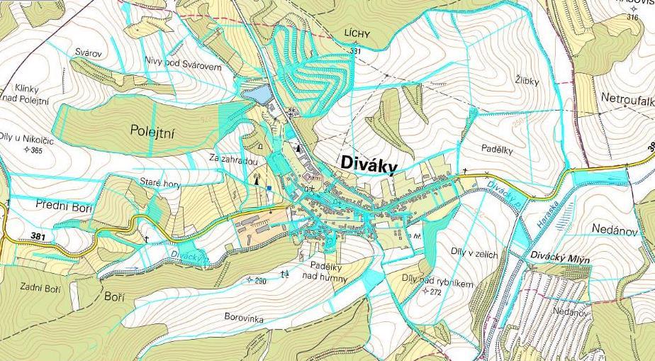 Obec Diváky vlastní vedle budovy obecního úřadu ještě budovu mateřské a základní školy, hospodu se sálem, víceúčelovou budovu, starou hasičskou zbrojnici a rodinný dům vedle obecního úřadu (ve