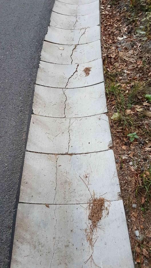 Úsekové měření/ukazatel rychlost - Původní úsek Letní Valnovka je zkrácen po ulccc Levou.