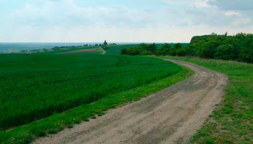 Potom váže zrádná levá přes horizont a odbočení vpravo nahoru k Němčičkám. Dívat se moc není kde, nebo jen z dálky, jede se tu hodně rychle a cesta bývá hodně obklopena zelenou kulisou.