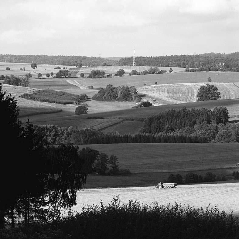 Obr. 3: Krajina biochory rozřezaných plošin na kyselých metamorfitech 4.