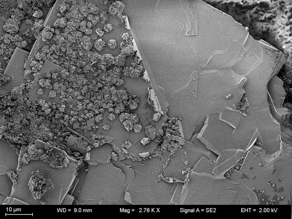 Bull. mineral.-petrolog. Odd. Nár. Muz. (Praha2, 2, 2014. ISSN 1211-0329 (print); 1804-6495 (online19 Obr. 4 Krystalické agregáty jarositu narůstající na tabulkovité krystaly metazeuneritu.