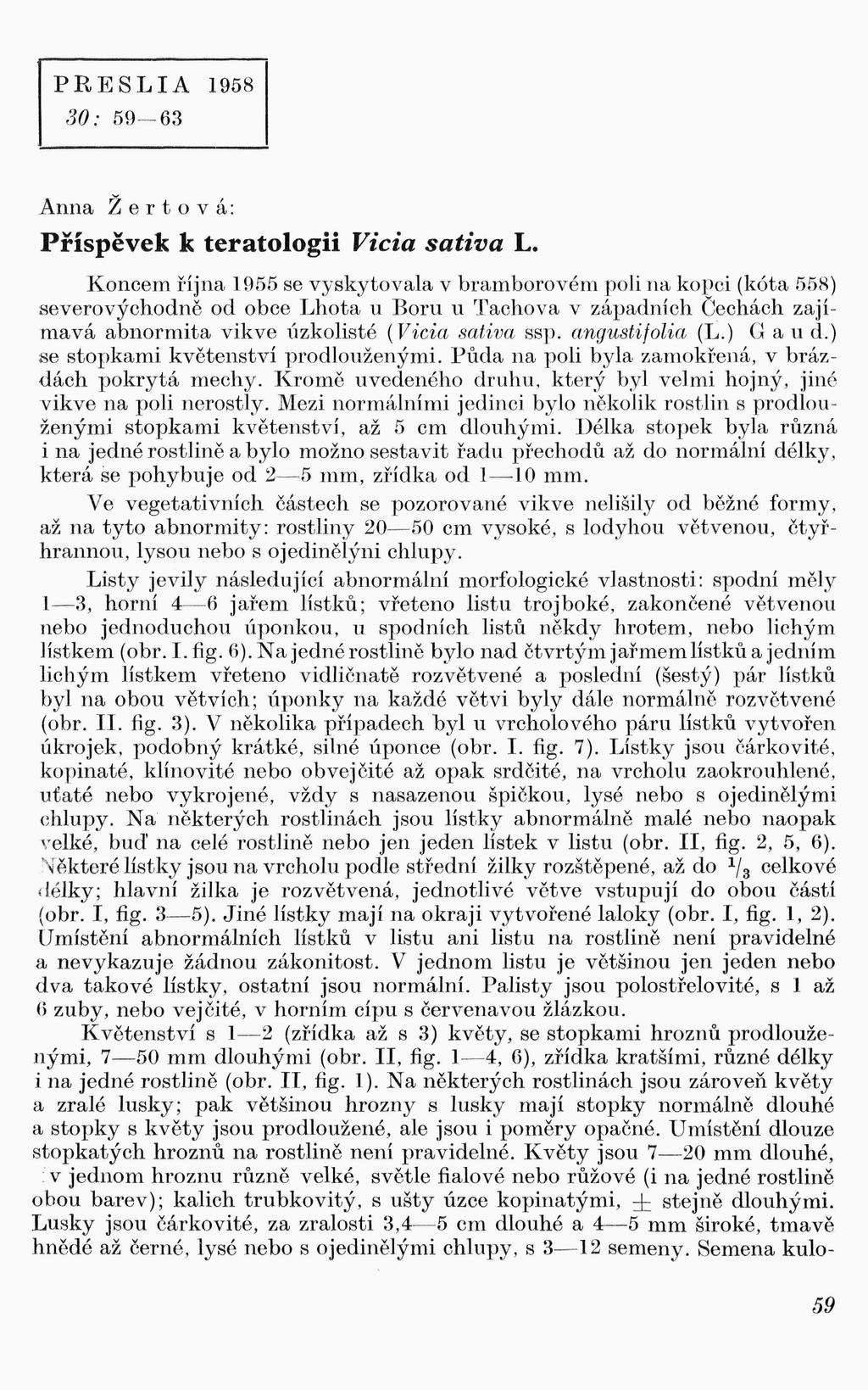 PRESLIA 1958 30: 59-63 Anna Ž e r t o v á : Příspěvek k teratologii Vicia sativa L.