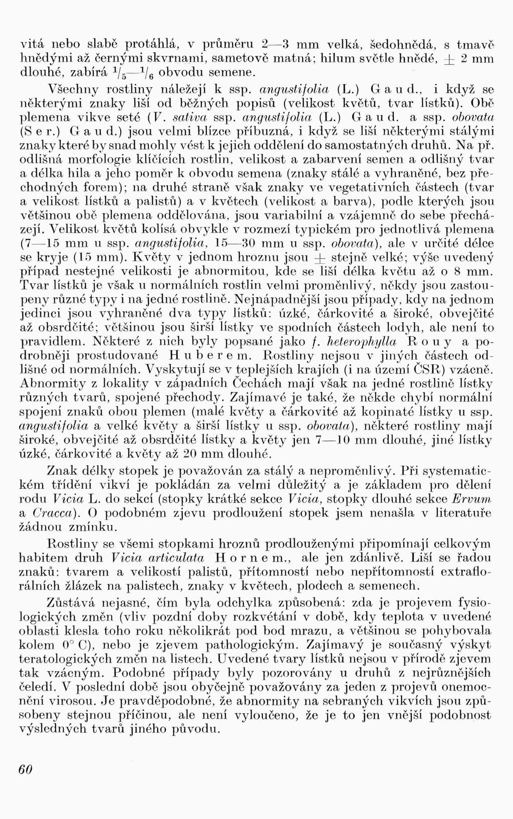 vitá nebo slabě protáhlá, v průměru 2-3 mm velká, šedohnědá, s tmavě hnědými až černými skvrna.mi, sametově matná; hilum světle hnědé, ± 2 mm dlouhé, zabírá 1 / 5-1 / 6 obvodu semene.