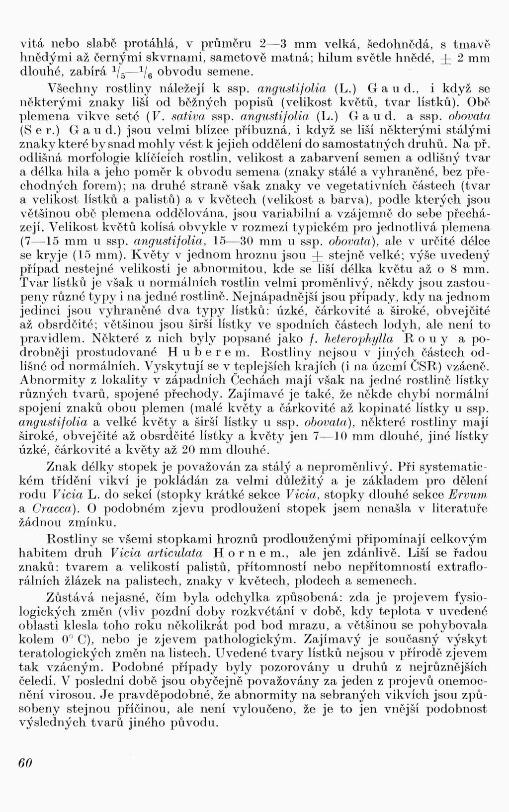 vitá nebo slabě protáhlá, v průměru 2-3 mm velká, šedohnědá, s tmavě hnědými až černými skvrna.mi, sametově matná; hilum světle hnědé, ± 2 mm dlouhé, zabírá 1 / 5-1 / 6 obvodu semene.