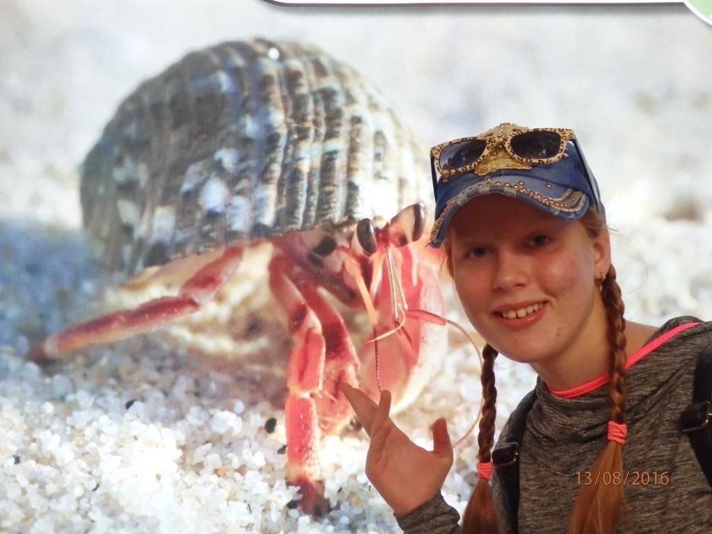 Nováková Julie Třída: II. B Předmět: Biologie Vyučující: Mgr. I. Kaňková Úspěchy v roce 2016 5.