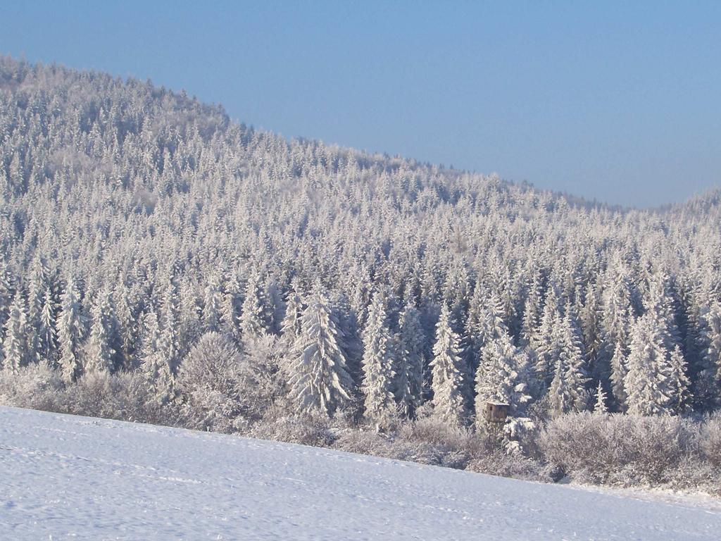 prosinec 2018 Vážení spoluobčané, je tady prosinec a s ním i poslední letošní zpravodaj naší obce, a zároveň i první po komunálních volbách, ze kterých vzešlo nové značně obměněné zastupitelstvo obce.