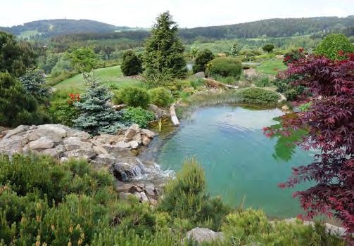 Vlastní Shromáždění členů se pak uskutečnilo 30.1. v konferenčním sále SPA Resortu lázně Lednice.
