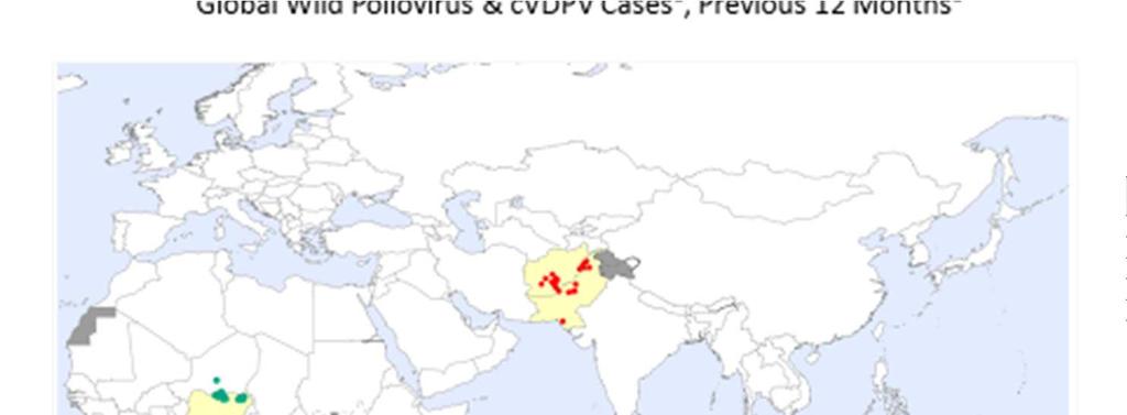 Celosvětová situace s poliomyelitis WPV 1, VDPV 1,2,3 posledních 6měsíců Highlights of New Wild Poliovirus and cvdpv Positives Reported Globally this Week Country WPV1 cvdpv1 cvdpv2 cvdpv3 Location: