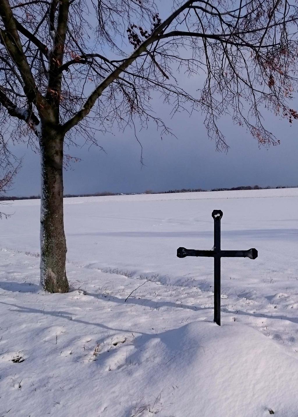 Železný kříž stál na kamenném podstavci směrem na Radonice. Ve velikonočním týdnu roku se vracel zedník A. K. z Radonic domů a chtěl kříž vyvrátit a povalit.