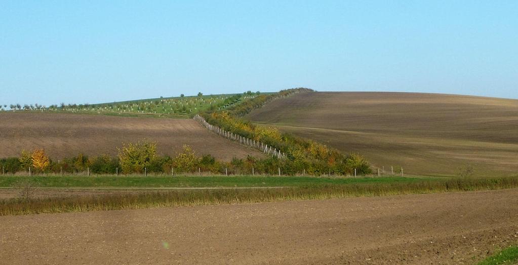 Šardice krajina v