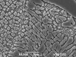 Fotografie mikrostruktur slitiny: Vzorek 1 výchozí stav: Můžeme pozorovat