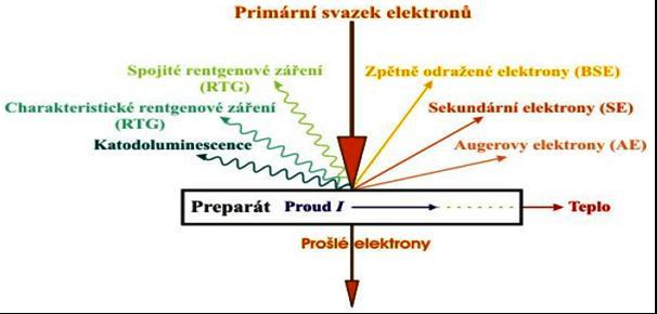 Na rozdíl od světelné mikroskopie je výsledný obraz tvořen pomocí sekundárního signálu odražených nebo sekundárních elektronů. Díky tomuto je zobrazení v SEM považováno za nepřímou metodu.