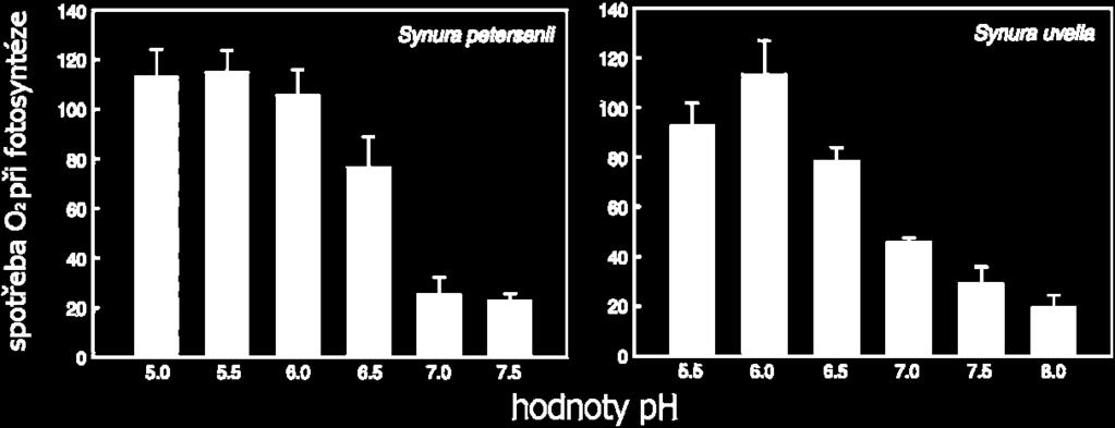 crassisquama, M. caudata, S. spinosa, S. uvella,. Na druhé straně gradientu kolem hodnot ph 7.0 se vyskytují M. corymbosa, M. tonsurata, M. alpina. Druhy M. acaroides var. acaroides a M.