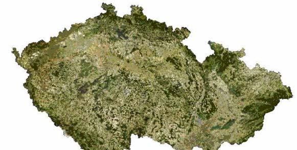 6. Praktická část 6.1. Úvod Chrysomonády s křemitými šupinami jsou často významnou součástí fytoplanktonu sladkovodních jezer a nádrží.