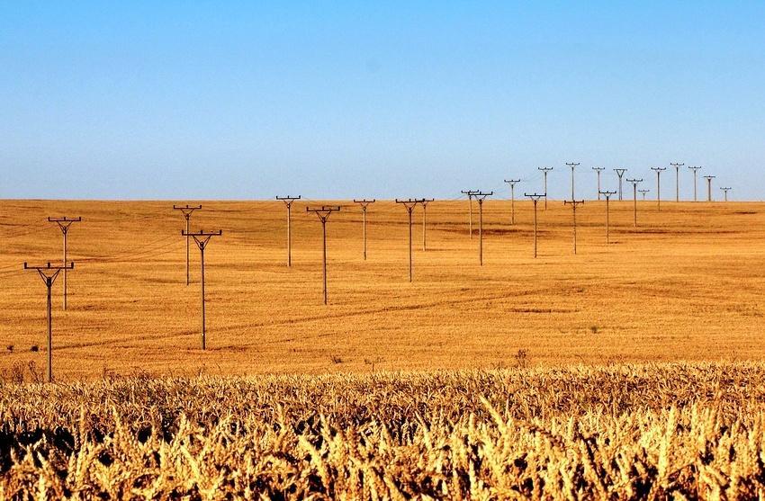 Ekologická stabilita krajiny Schopnost odolávat změně vyvolané vnějším zásahem (introdukované druhy, eroze, škůdci, klimatický výkyv ) Ekologicky stabilní krajina s vysokou biodiverzitou se