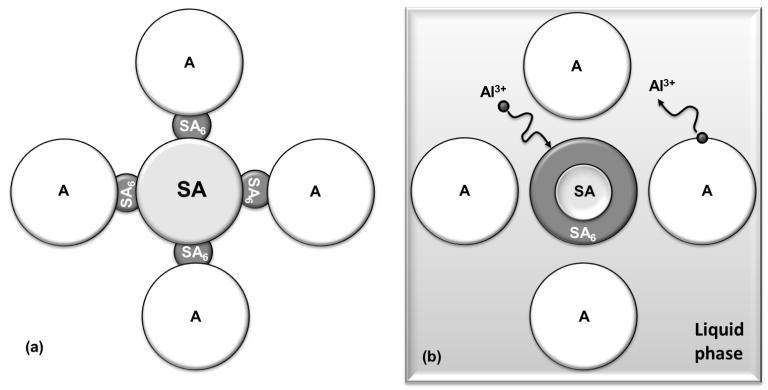 stroncium hexaaluminátu [74]. Z výše uvedeného je zřejmé, že hexaaluminát musí být vytvořen reakcí již vzniklého SrA s nezreagovanou aluminou dle rovnice [75]: SrA + 5 A SrAl 6 2.