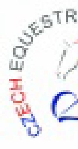 G52 Trávníčková Radka MG007 JK Němčičky <3> DARET DIAVOLO KF70 6. L030 Benediktová Tereza ML0002 JK Morava Pravčice o.s. <6> YETI KL020 7.